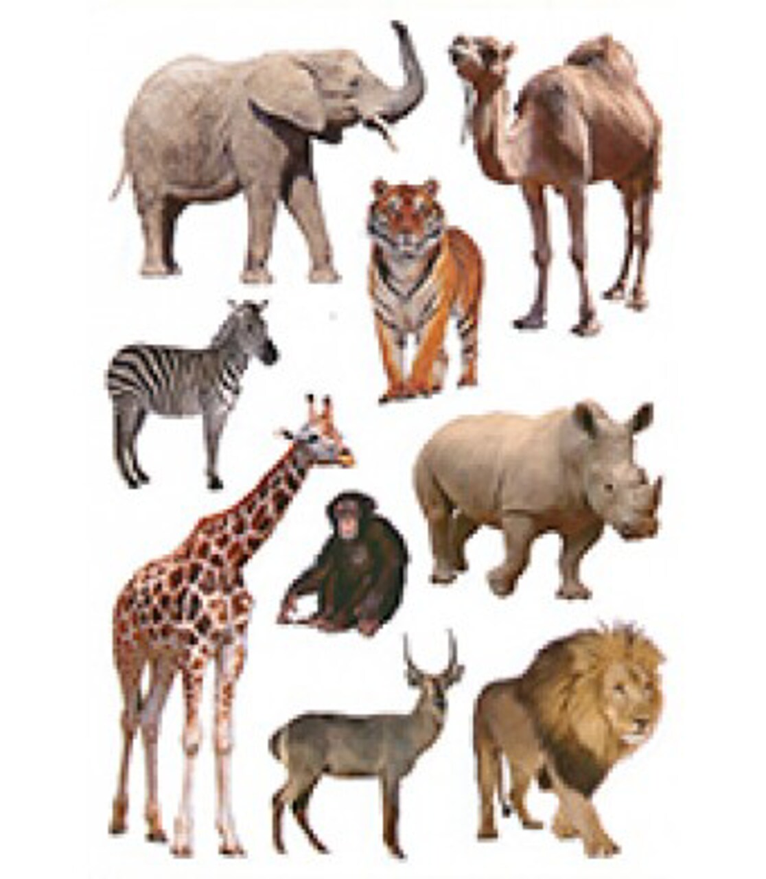 Zoo Animal Stickers – 90 Pack Colorful Animal Stickers for Classroom Rewards, Scrapbooking & Crafts